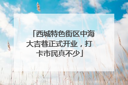 西城特色街区中海大吉巷正式开业，打卡市民真不少