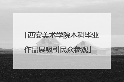 西安美术学院本科毕业作品展吸引民众参观