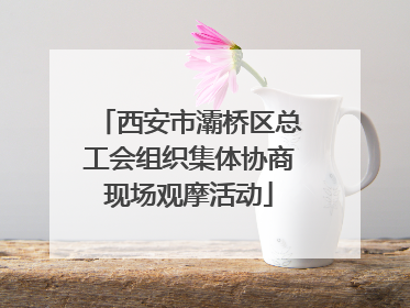 西安市灞桥区总工会组织集体协商现场观摩活动