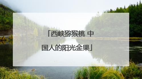 西峡猕猴桃 中国人的阳光金果