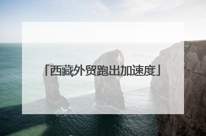 西藏外贸跑出加速度