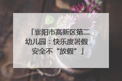 襄阳市高新区第二幼儿园：快乐度暑假 安全不“放假”