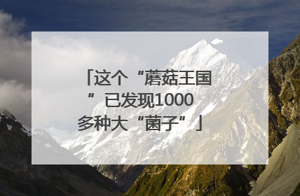 这个“蘑菇王国”已发现1000多种大“菌子”