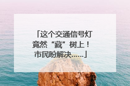 这个交通信号灯竟然“藏”树上！市民盼解决……