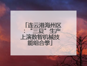 连云港海州区：“三夏”生产上演数智机械技能组合拳