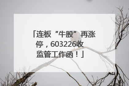 连板“牛股”再涨停，603226收监管工作函！