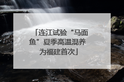 连江试验“马面鱼”夏季高温混养 为福建首次