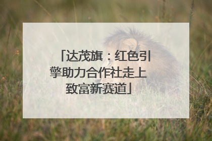 达茂旗：红色引擎助力合作社走上致富新赛道