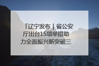 辽宁发布｜省公安厅出台15项举措助力全面振兴新突破三年行动决胜之战