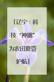 辽宁：科技“神器”为农田夏管护航