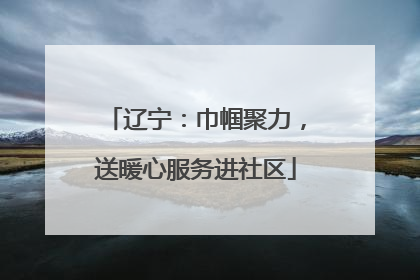 辽宁：巾帼聚力，送暖心服务进社区