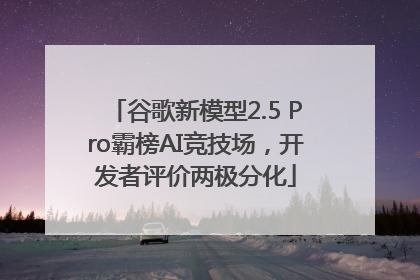 谷歌新模型2.5 Pro霸榜AI竞技场，开发者评价两极分化