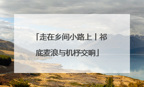走在乡间小路上丨祁底麦浪与机杼交响