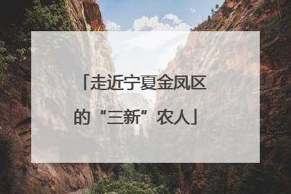 走近宁夏金凤区的“三新”农人