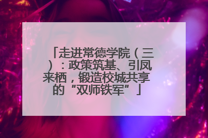 走进常德学院（三）：政策筑基、引凤来栖，锻造校城共享的“双师铁军”