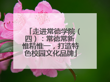 走进常德学院（四）：常德常新 惟精惟一，打造特色校园文化品牌