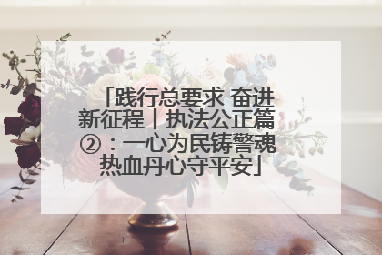 践行总要求 奋进新征程丨执法公正篇②：一心为民铸警魂 热血丹心守平安