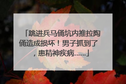 跳进兵马俑坑内推拉陶俑造成损坏！男子抓到了，患精神疾病……