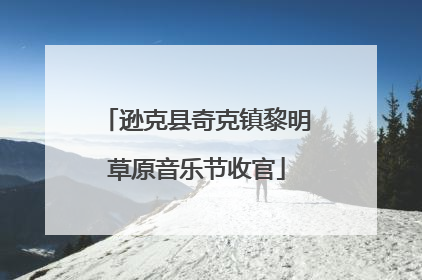 逊克县奇克镇黎明草原音乐节收官
