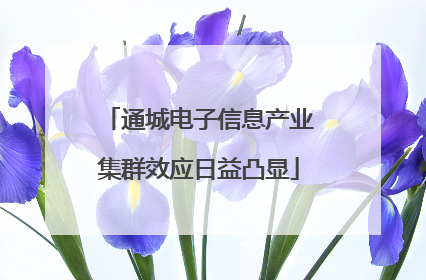 通城电子信息产业集群效应日益凸显