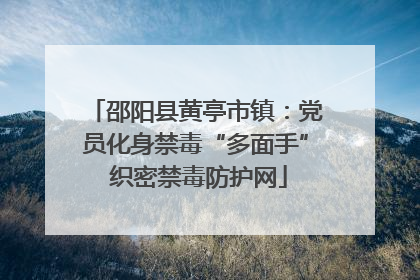 邵阳县黄亭市镇：党员化身禁毒“多面手” 织密禁毒防护网