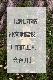 邵阳市精神文明建设工作推进大会召开
