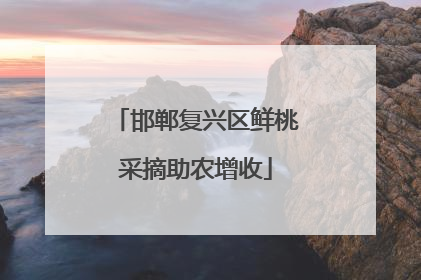 邯郸复兴区鲜桃采摘助农增收