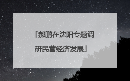 郝鹏在沈阳专题调研民营经济发展