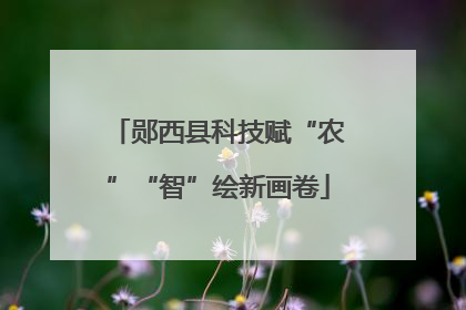 郧西县科技赋“农”“智”绘新画卷