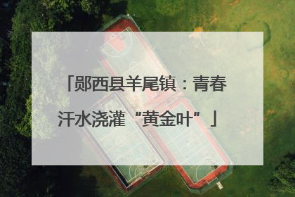 郧西县羊尾镇：青春汗水浇灌“黄金叶”