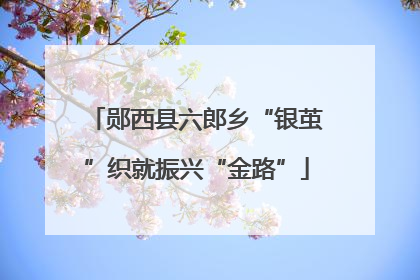 郧西县六郎乡“银茧”织就振兴“金路”