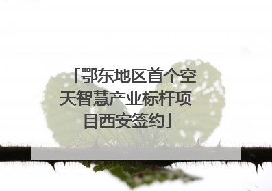 鄂东地区首个空天智慧产业标杆项目西安签约