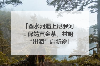 酉水河遇上尼罗河：保靖黄金茶、村厨“出海”启新途