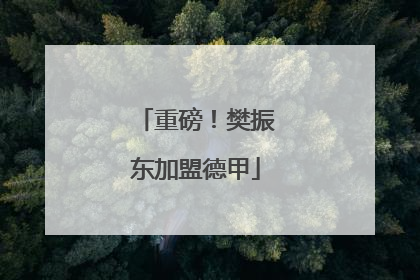 重磅！樊振东加盟德甲