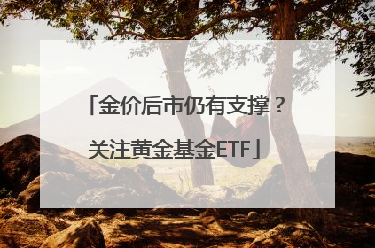 金价后市仍有支撑？关注黄金基金ETF