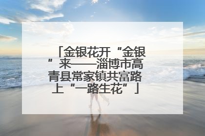 金银花开“金银”来——淄博市高青县常家镇共富路上“一路生花”