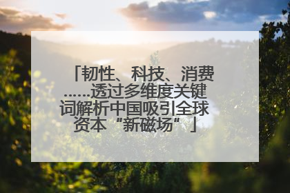 韧性、科技、消费……透过多维度关键词解析中国吸引全球资本“新磁场”
