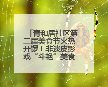 青和居社区第二届美食节火热开锣！非遗皮影戏“斗艳”美食，邻里齐聚“粽”享温情