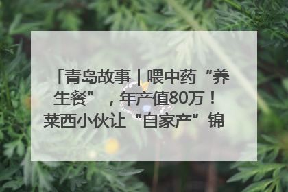青岛故事｜喂中药“养生餐”，年产值80万！莱西小伙让“自家产”锦鲤“游”向全国