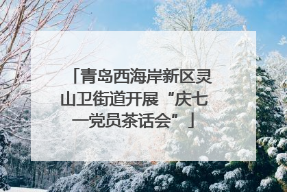 青岛西海岸新区灵山卫街道开展“庆七一党员茶话会”