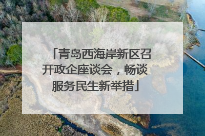 青岛西海岸新区召开政企座谈会，畅谈服务民生新举措