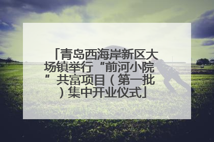 青岛西海岸新区大场镇举行“前河小院”共富项目（第一批）集中开业仪式