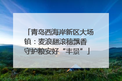 青岛西海岸新区大场镇：麦浪翻滚穗飘香 守护粮安好“丰景”