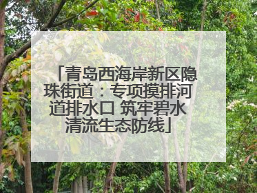 青岛西海岸新区隐珠街道：专项摸排河道排水口 筑牢碧水清流生态防线