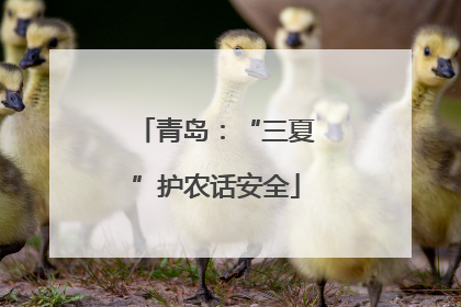 青岛：“三夏”护农话安全