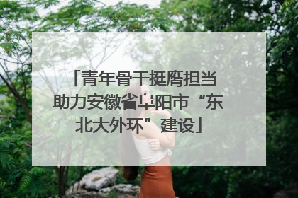 青年骨干挺膺担当 助力安徽省阜阳市“东北大外环”建设