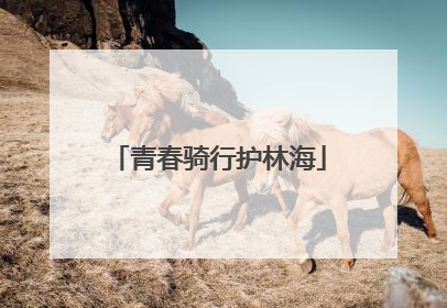 青春骑行护林海