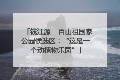 钱江源—百山祖国家公园候选区：“这是一个动植物乐园”