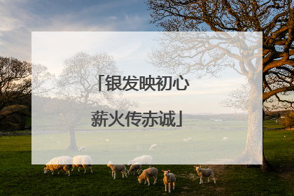 银发映初心 薪火传赤诚
