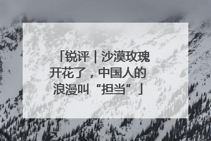 锐评｜沙漠玫瑰开花了，中国人的浪漫叫“担当”